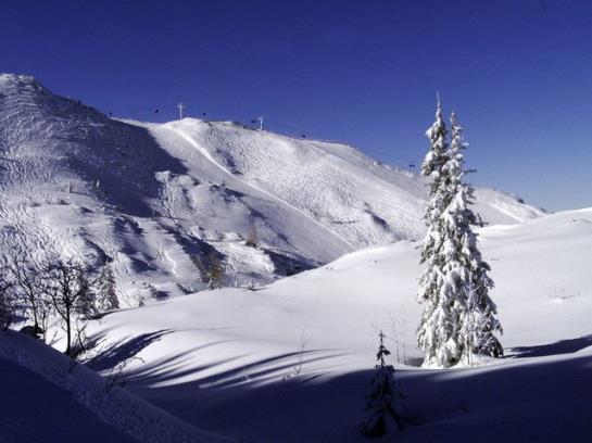 Alpenhotel Jagdhof Breitenthal