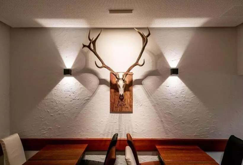 Отель Binders Budget Citymountain