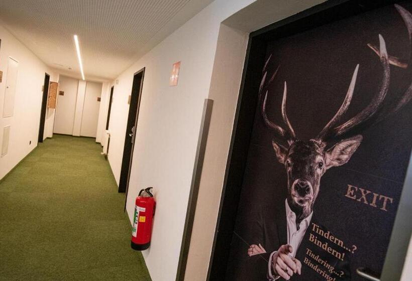 هتل Binders Budget Citymountain