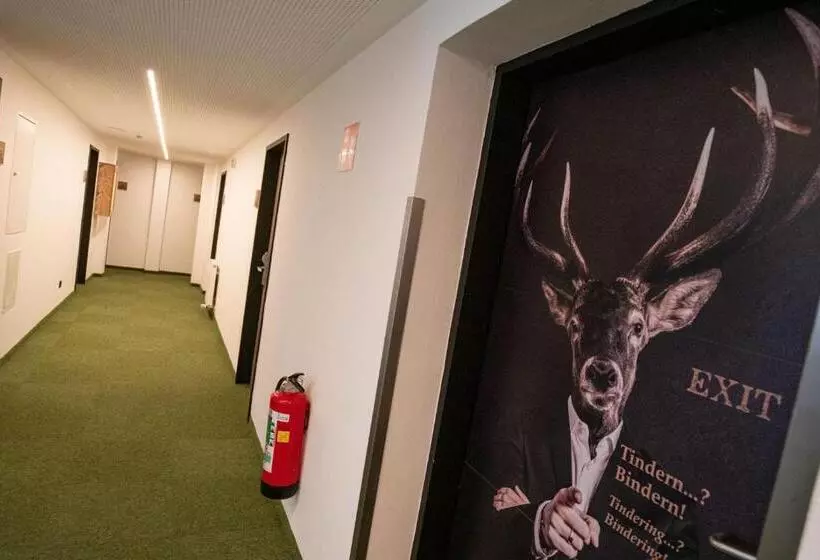 Отель Binders Budget Citymountain