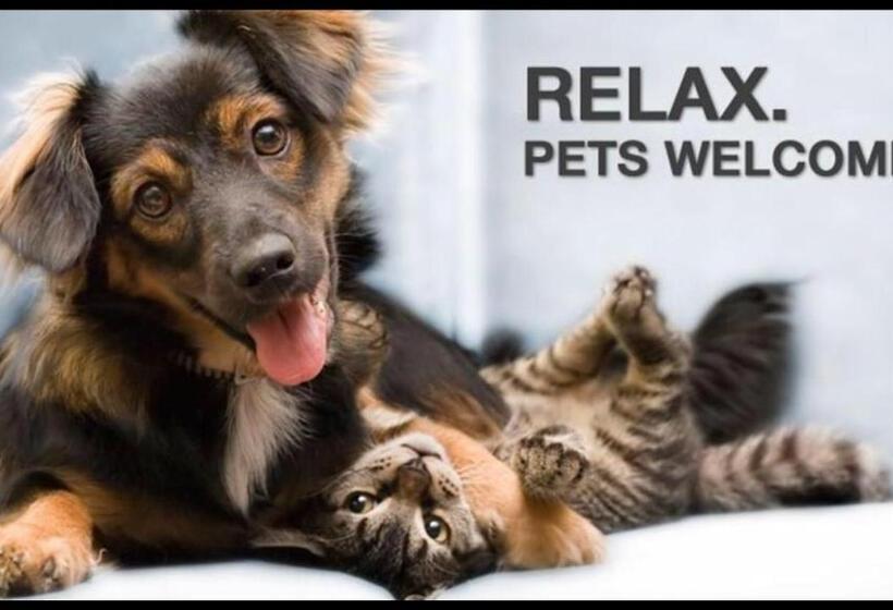 هتل Binders Budget Citymountain