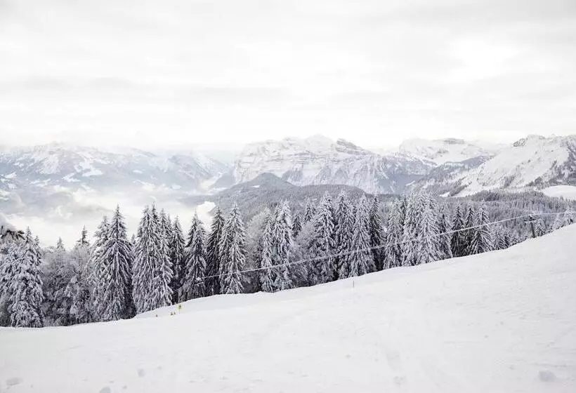 Hirschen   Fine Hotel, Restaurant & Spa