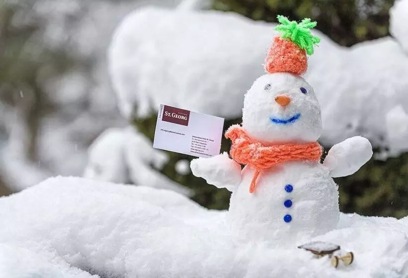 Отель Johannesbad  St. Georg