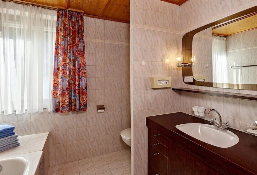 هتل Monika & Montafon Chalets