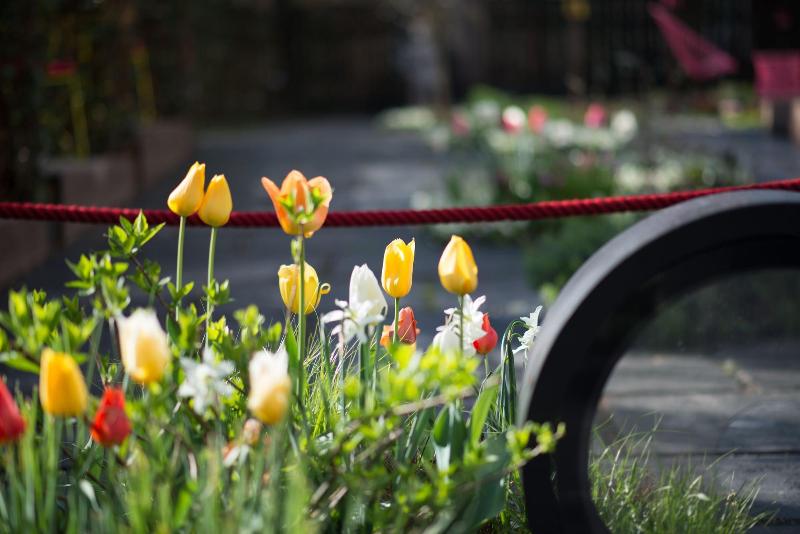 فندق Nala Individuell