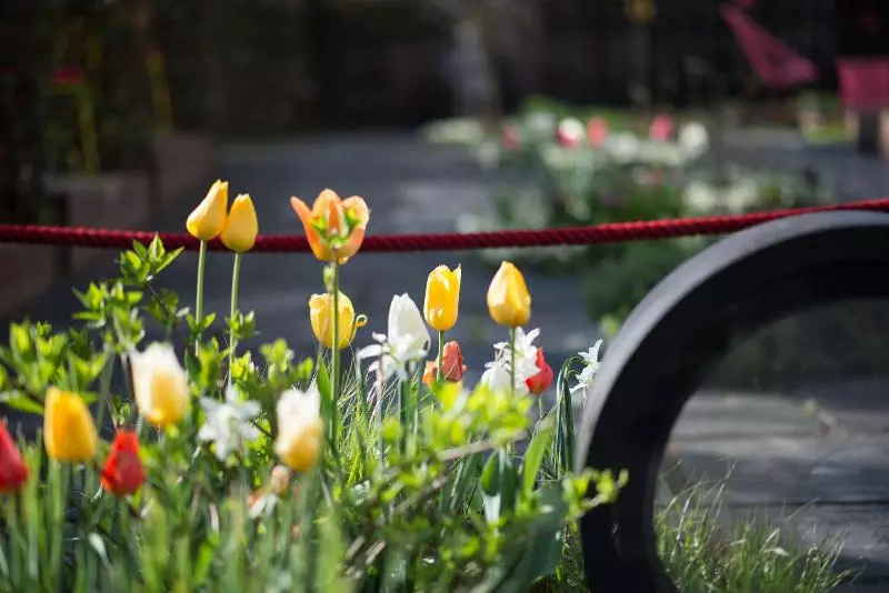 호텔 Nala Individuell