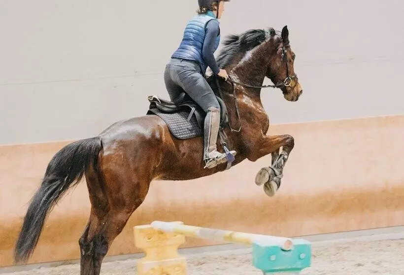 ホテル Walliserhof