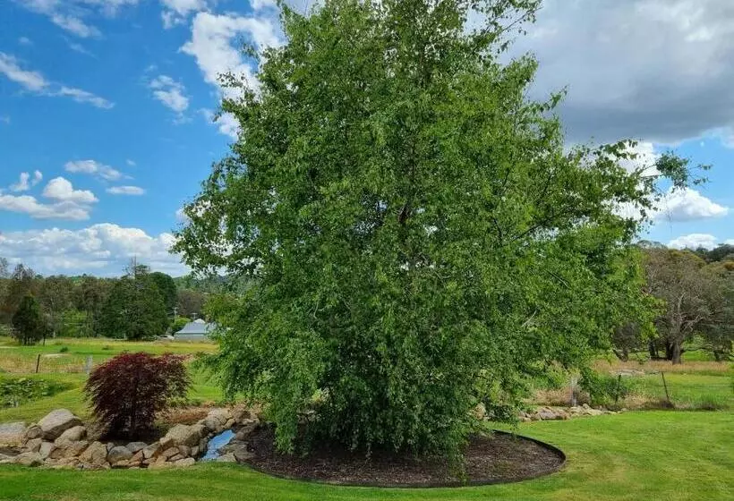 فندق Golden Heritage Accommodation