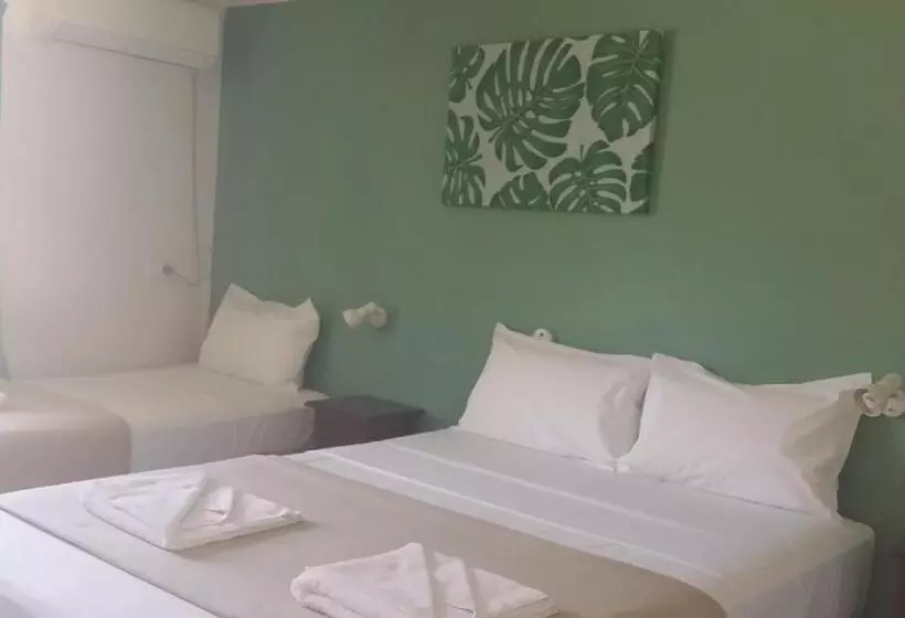 Отель Mackay Motor Inn