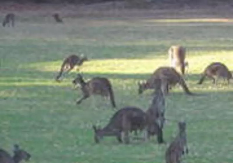 Rac Karri Valley Resort