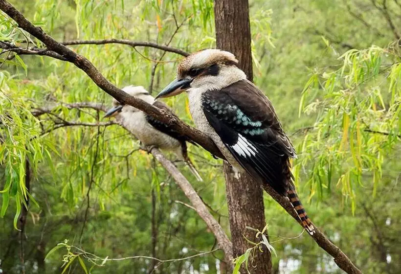 Rac Karri Valley Resort