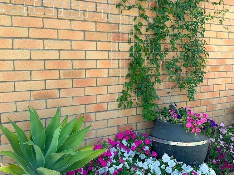 Squatters Homestead Motel