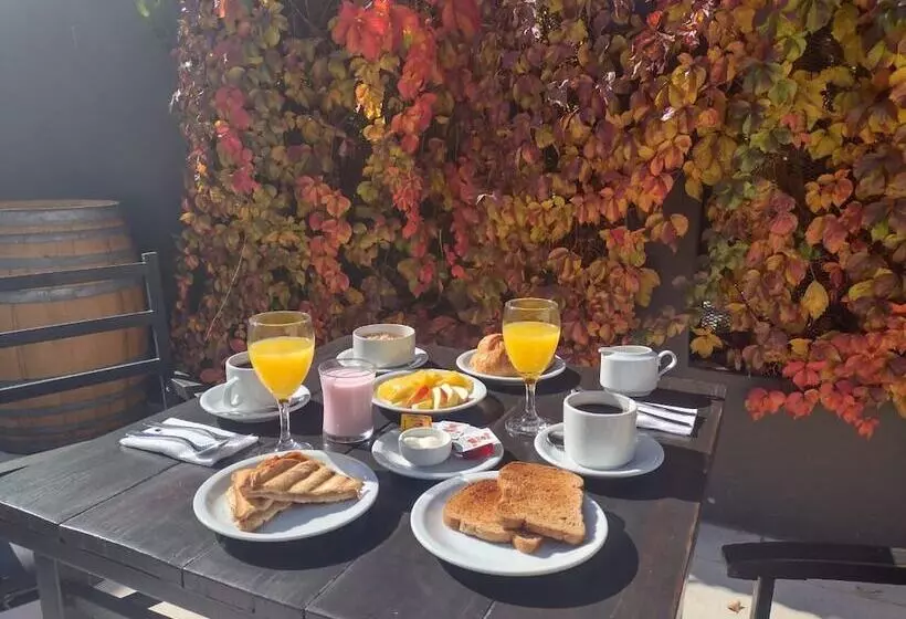 בית מלון כפרי Raices Aconcagua