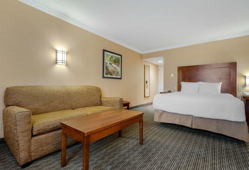 Best Western Plus Dryden Hotel and Conference Centre