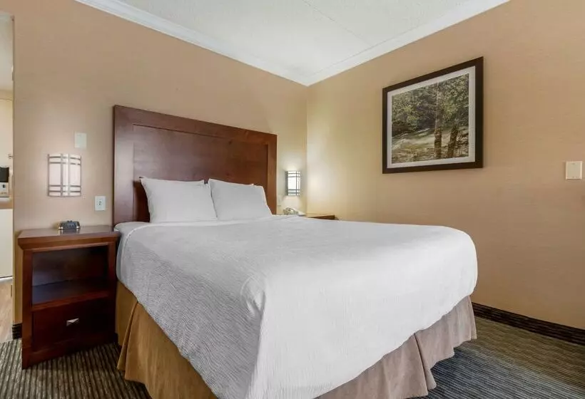 Best Western Plus Dryden Hotel and Conference Centre