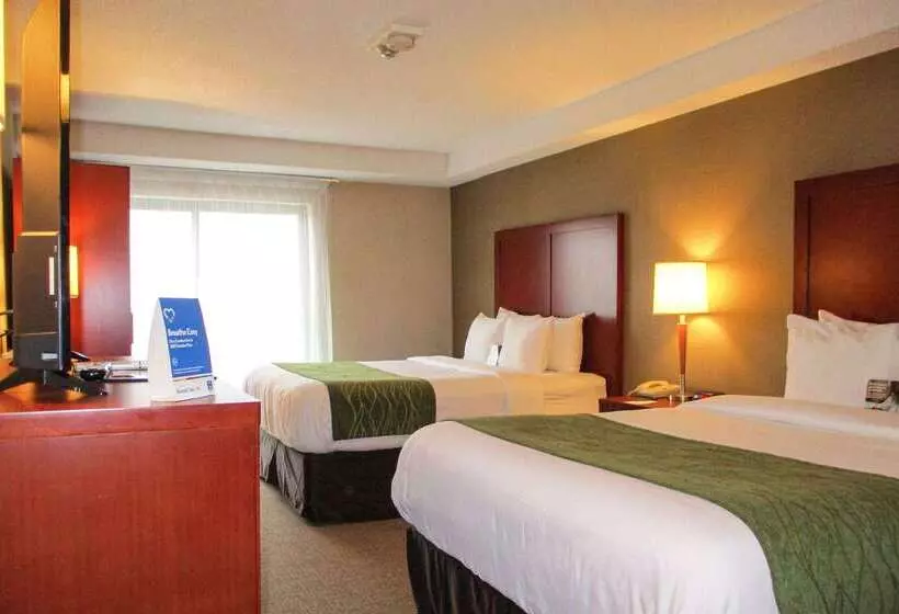 Hotelli Comfort Inn Dartmouth
