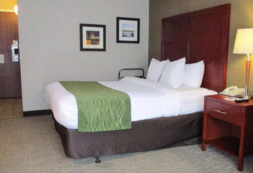 Hotelli Comfort Inn Dartmouth