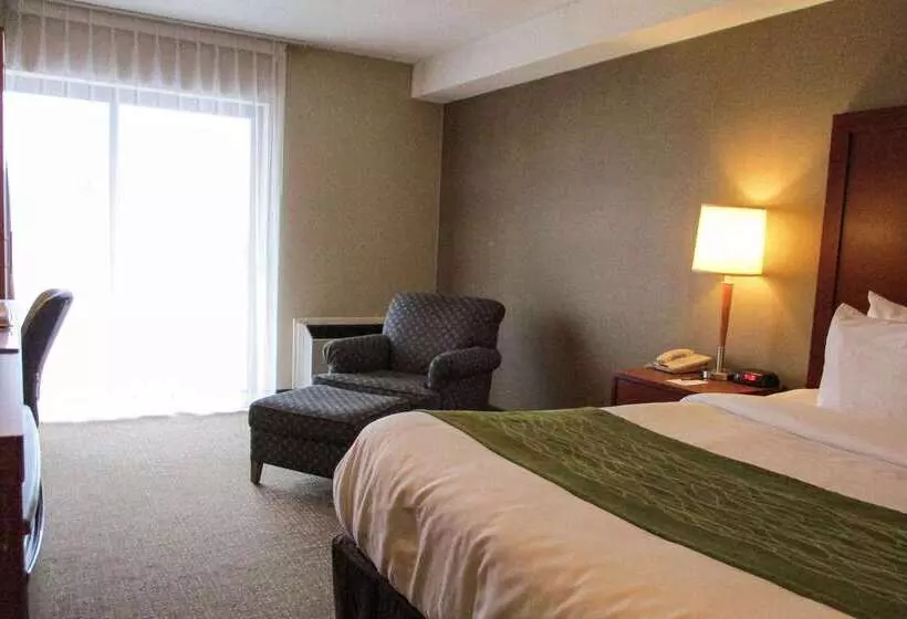 Hotelli Comfort Inn Dartmouth