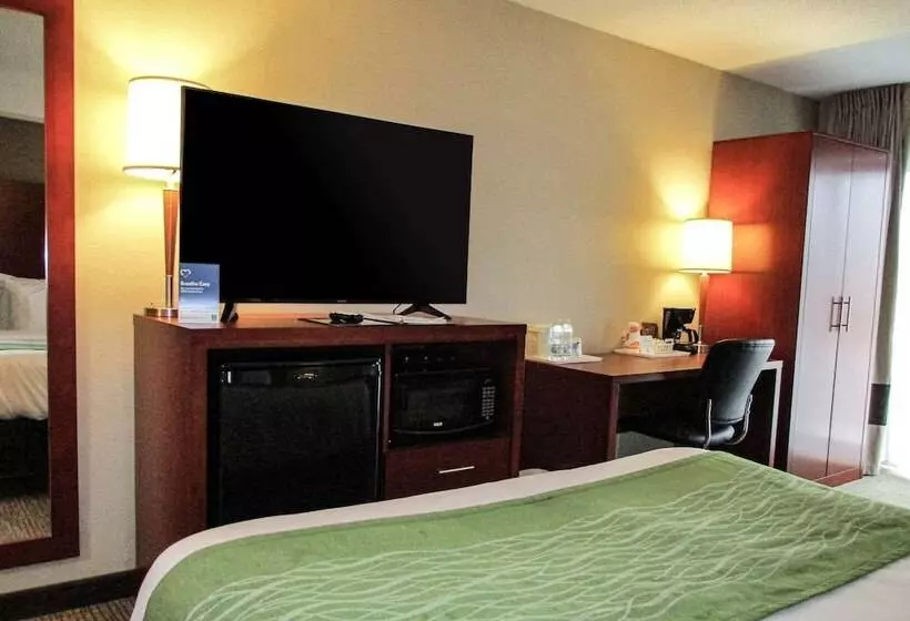 Hotelli Comfort Inn Dartmouth