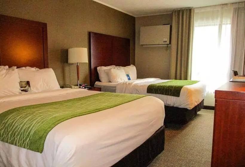 Hotelli Comfort Inn Dartmouth