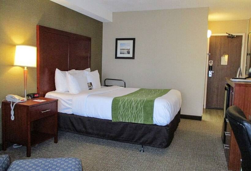 هتل Comfort Inn Dartmouth