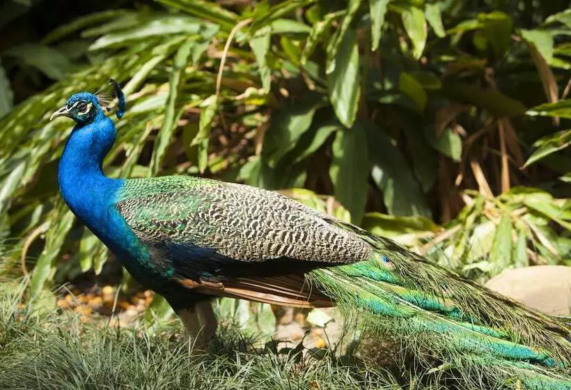 هتل Los Tajibos, Santa Cruz De La Sierra, A Tribute Portfolio