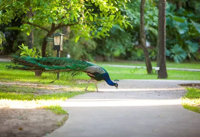 هتل Los Tajibos, Santa Cruz De La Sierra, A Tribute Portfolio