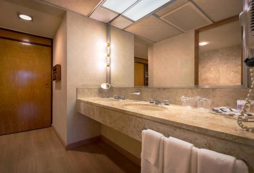 هتل Maksoud Plaza