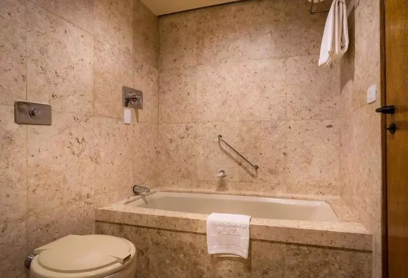 酒店 Maksoud Plaza