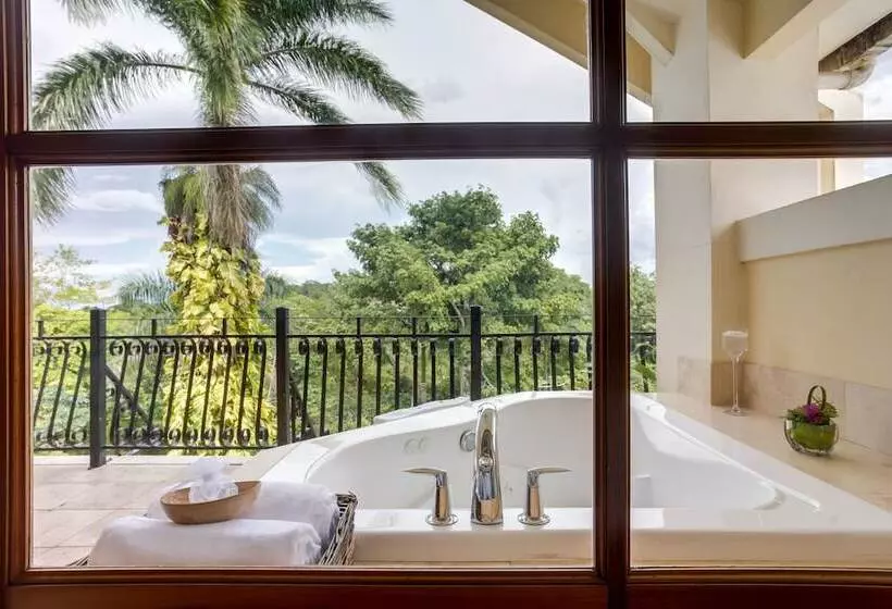 ホテル San Ignacio Resort