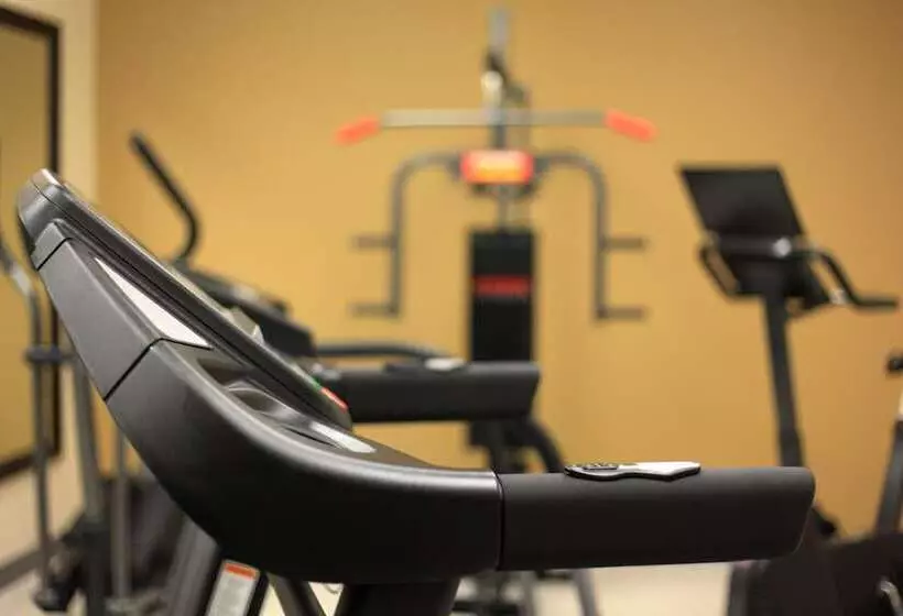 호텔 Universel Alma