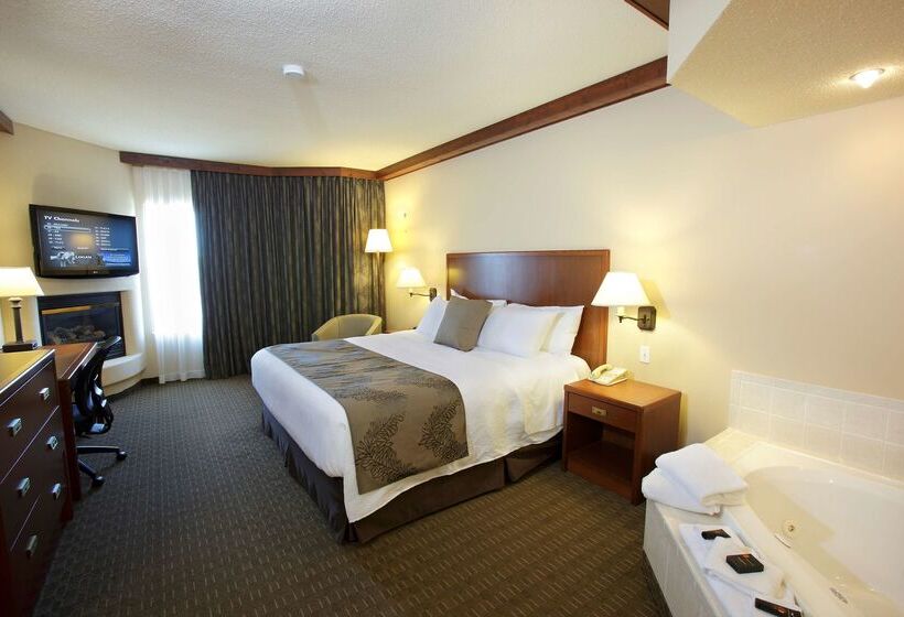 هتل Best Western Plus Lamplighter Inn & Conference Centre