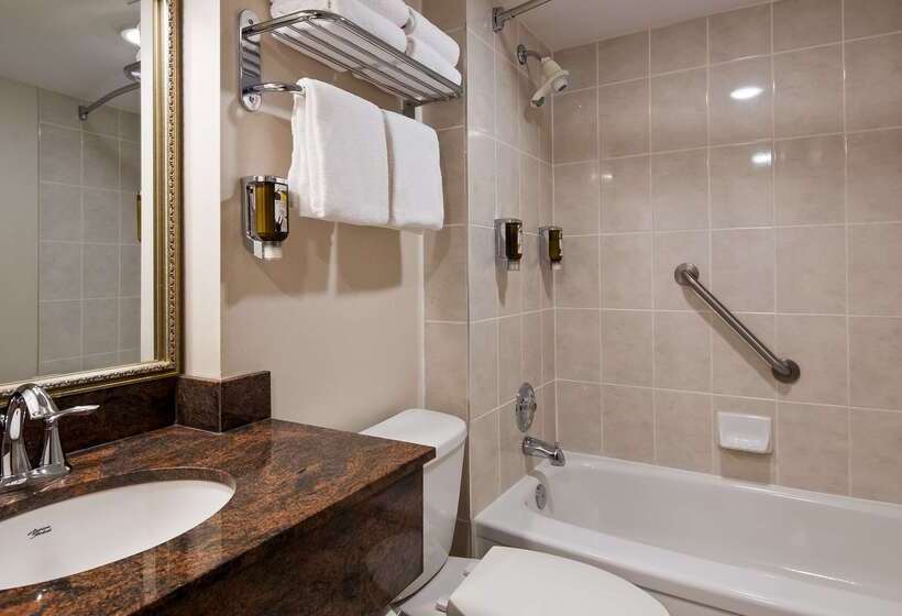 فندق Best Western Plus Ottawa City Centre