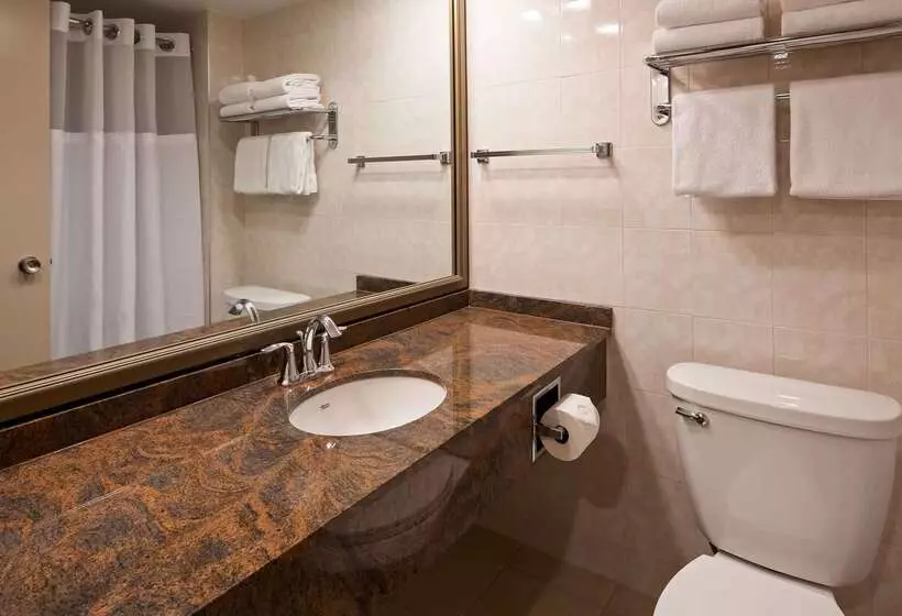 هتل Best Western Plus Ottawa City Centre