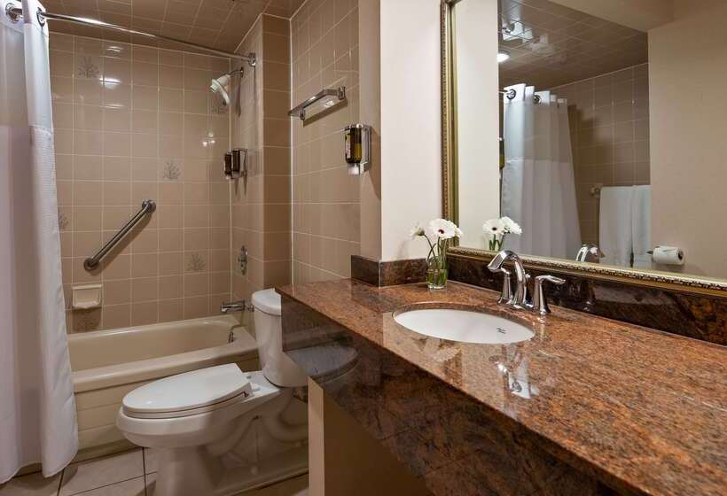 فندق Best Western Plus Ottawa City Centre