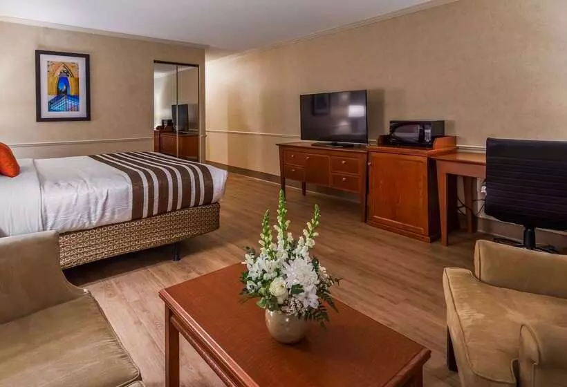 هتل Best Western Plus Ottawa City Centre