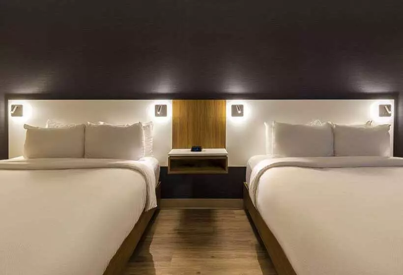 ホテル Comfort Inn