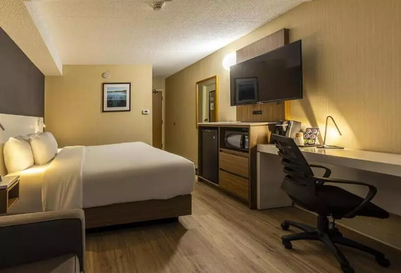 Отель Comfort Inn