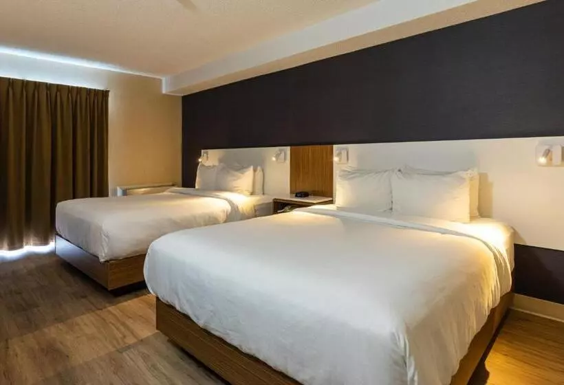 ホテル Comfort Inn