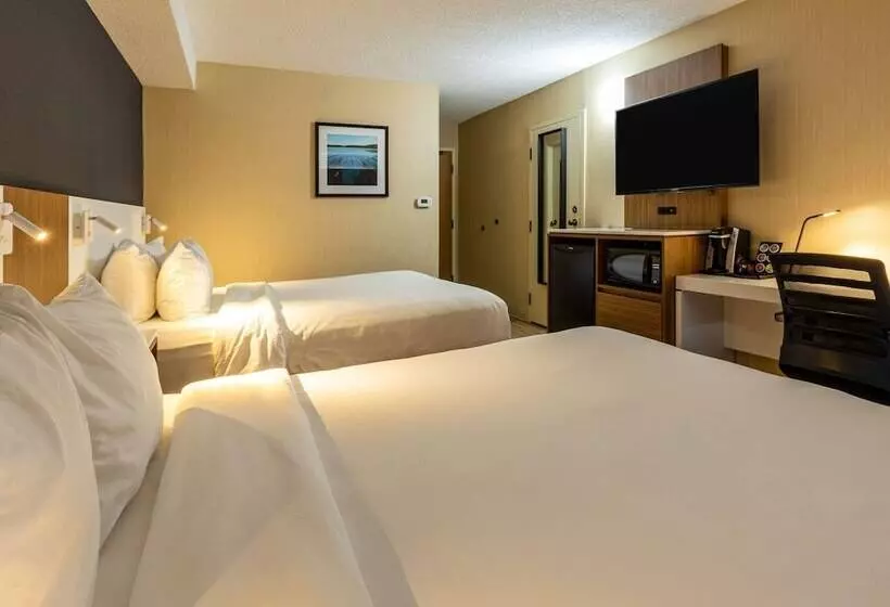 ホテル Comfort Inn