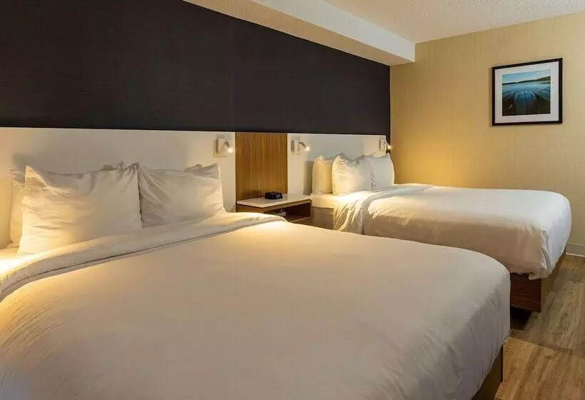 ホテル Comfort Inn