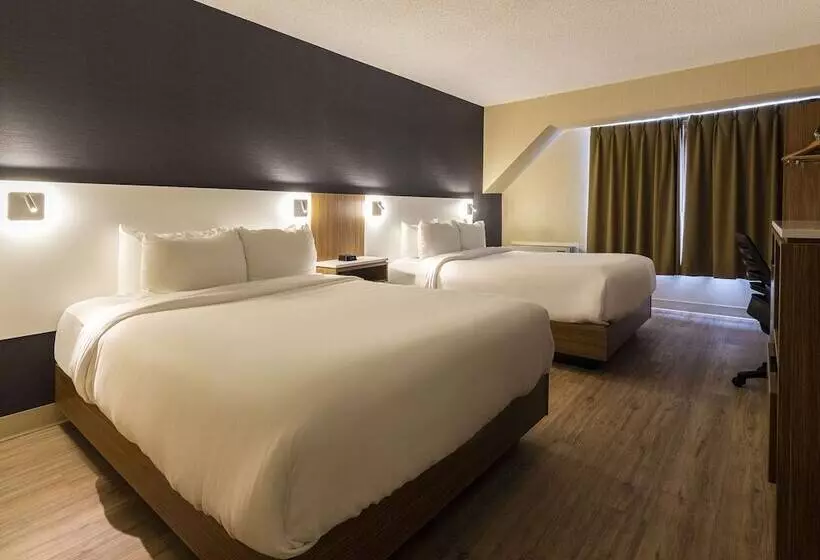 ホテル Comfort Inn