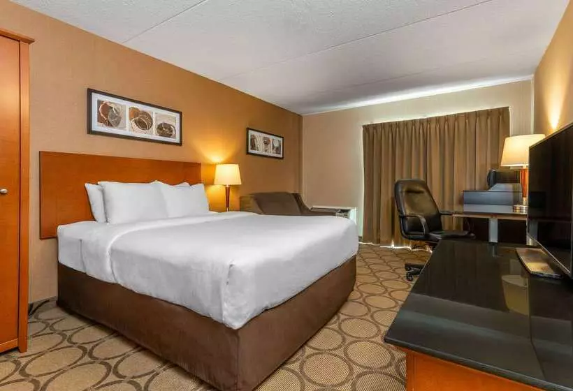 ホテル Comfort Inn