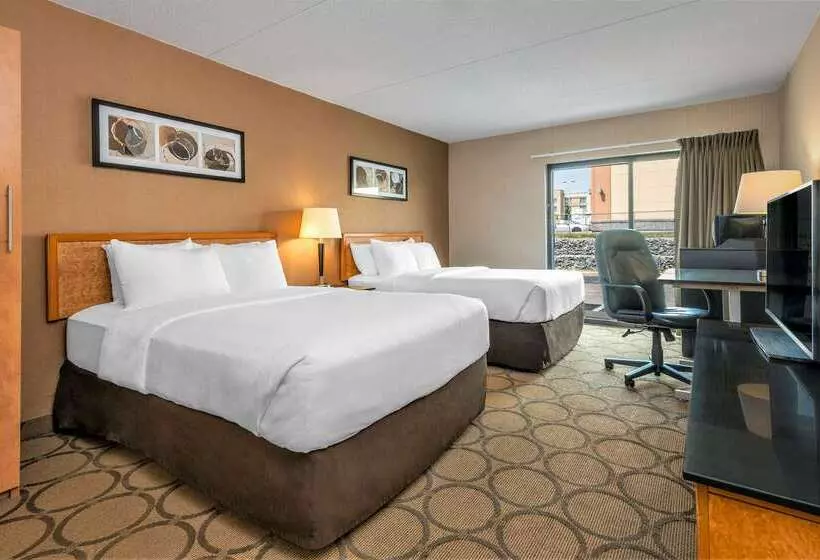 ホテル Comfort Inn