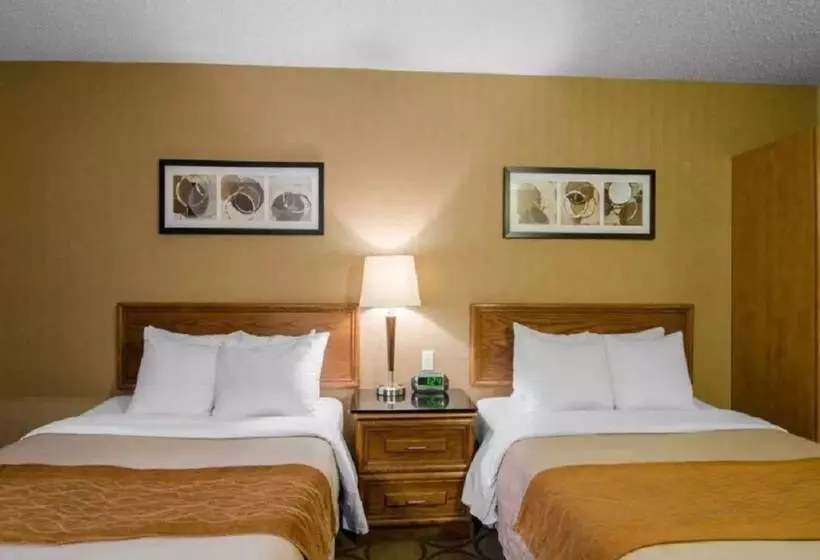 ホテル Comfort Inn