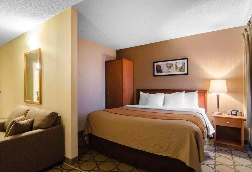 ホテル Comfort Inn