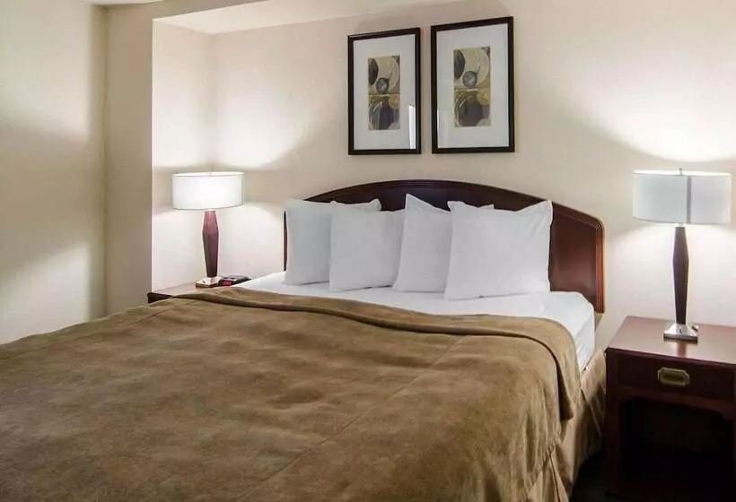 Hotel Courtyard By Marriott Regina Downtown