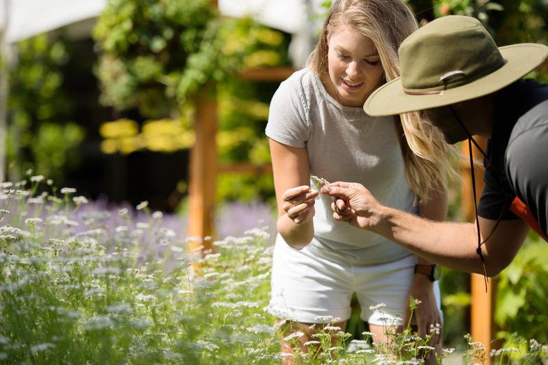 هتل Fairmont Chateau Whistler