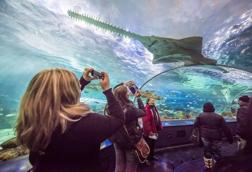 Отель Fairmont Royal York