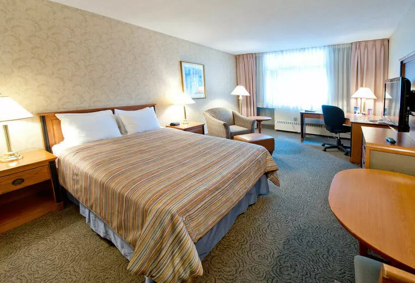 فندق Four Points by Sheraton Montreal Centre Ville